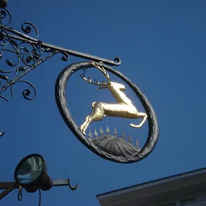 Goldener Hirsch Otel